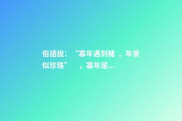 俗語說：“寡年遇到豬，年景似珍珠”，寡年是什么？是好是壞？